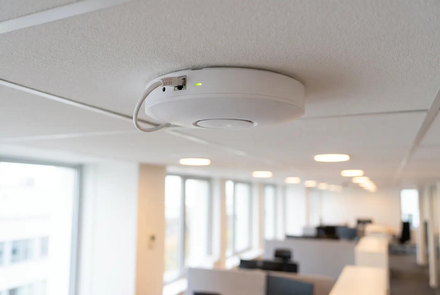 Borne Wi-Fi ronde et blanche fixée sur une dalle de plafond de bureau, un seul câble réseau y entre, une petite diode verte allumée.